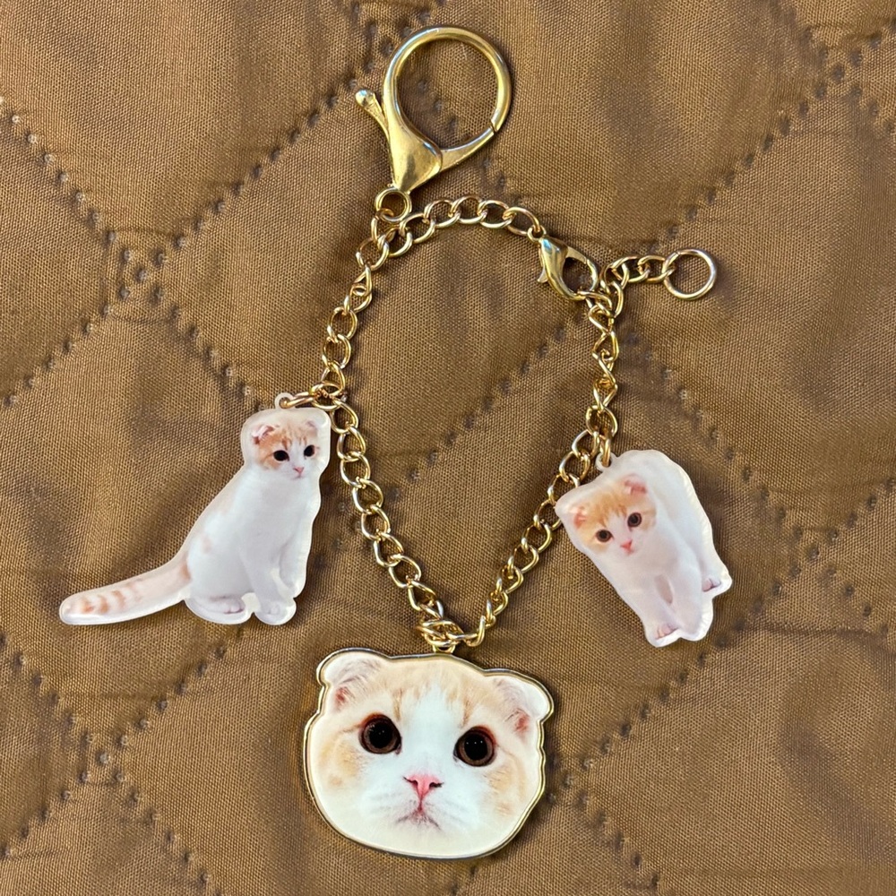 Kawaii Mochimaru Scottish Fold Cat Charm Keychain